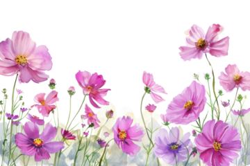 PNG  Vibrant watercolor floral illustration