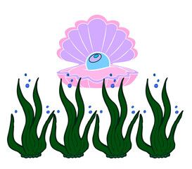 shell with pearl and seaweed and bubbles on a transparent background