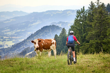 nice woman meeting  cow on mountain pasture in the Allgaeu Alps near Oberstaufen, Bavaria, Germany © Uwe