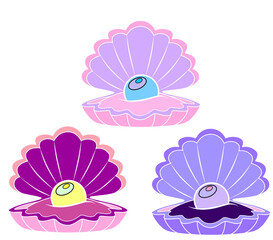 three shells with a pearl on a transparent background