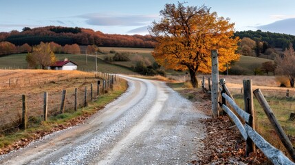 Fototapeta premium A scenic rural path bordered by a split-rail fence and flanked by trees with autumn leaves, leading towards a barn in the distance under a blue sky.