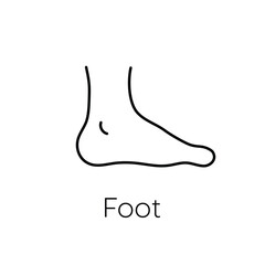 Human foot line icon isolated on white background. Vector illustration.
