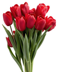 Fototapeta premium PNG Vibrant red tulip bouquet