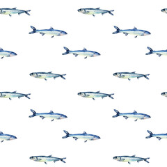 Small fishes anchovy on watercolor seamless pattern isolated. Fresh sea fish hand drawn endless background. Marine pattern with fish. Underwater sea design for package, textile, paper