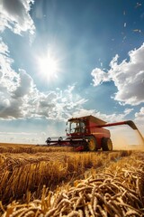 Fototapeta premium Explore the role of technology in modern agriculture. How are precision farming and automation improving crop yields and sustainability