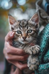 Fototapeta premium Investigate the role of animals in human culture. How have creatures like cats and dogs become integral parts of our lives and folklore