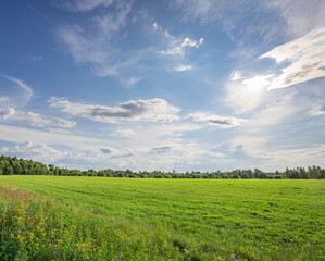 A large field of grass with a clear blue sky above