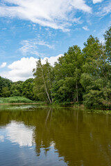 Fototapeta premium Reflektionen der Wolken und Bäume auf dem Schlosssee in Gifhorn. Sommerlicher Himmel über dem See