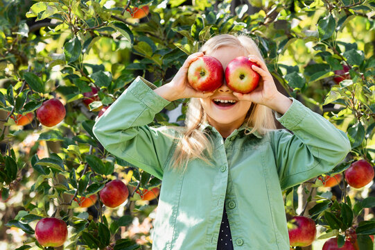 Apples for Children. Happy Little Girl Child with Apple Eyes Having Fun in Apple Orchard. Organic Red Apples for Kids.
