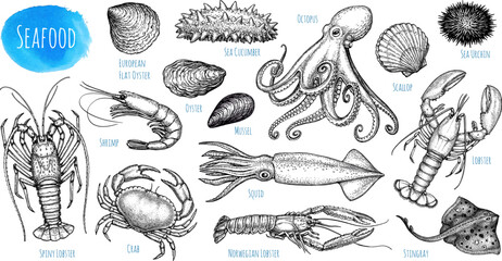 Seafood ink sketch set.