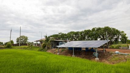 Low-rise view through green rice fields to solar panels.