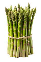 Asparagus, isolated on a transparent background