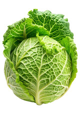 Obraz premium Cabbage, isolated on a transparent background