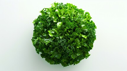 Obraz premium A green ball of leaves on a white background.