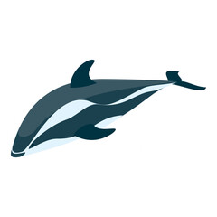 3D Isometric Flat Vector Set of Types Of Dolphins, Educational Classification. Item 2