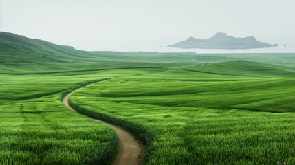 Obraz premium A tranquil landscape featuring lush green fields and a winding path leading to a serene island in the distance.