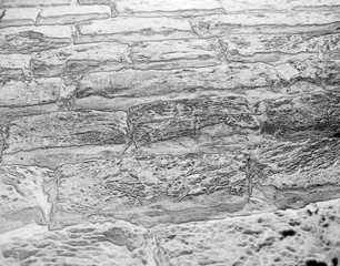 Brick wall texture. House wall pattern black and white photo, close view. Pencil sketch drawing illustration