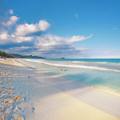 Beach, nature and water or tropical waves, sustainable vacation and Hawaii destination or travel holiday. Summer, tranquil and outdoor for Pacific Ocean, shore and people swimming with blue sky