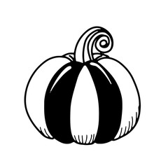 Doodle Halloween pumpkin. Autumn hand drawn harvest. Isolated vector on white background