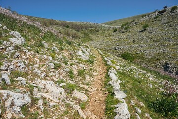 Rocky terrain in Gargano National Park, Italy, Europe.	