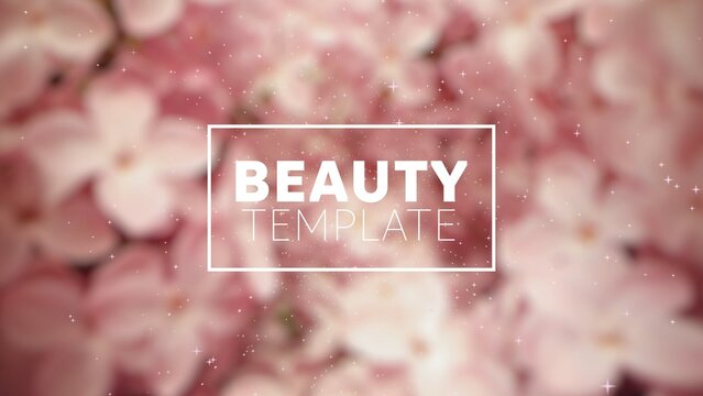 Beauty Glitter Particles Social Media Channel Intro Outro Bundle