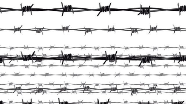 rows of fencing made of straight barbed wire on a white background