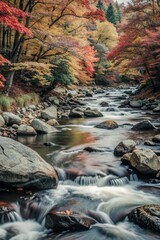 Fototapeta premium river in mountains