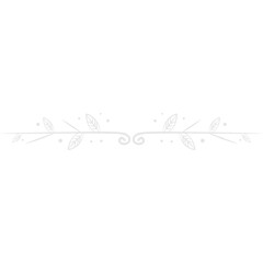 Hand Drawn Leaves Divider