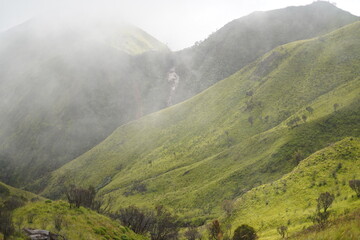 View of wide green grass in Indonesia