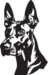 doberman dog portrait