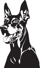black and white doberman pinscher dog