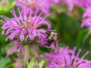Relax and recharge among flowers.