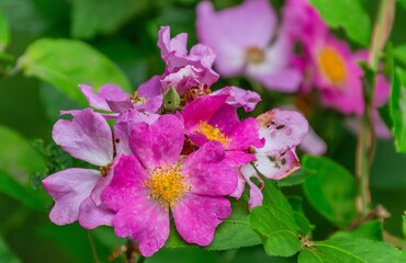 The gardens inspire serene reflection.