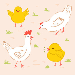 Set of white poultry farm chicken birds. Hen and chicks isolated on background. Chicken family icons in flat or cartoon style vector illustration.Farm chicken bird family nest concept. Cute childish 