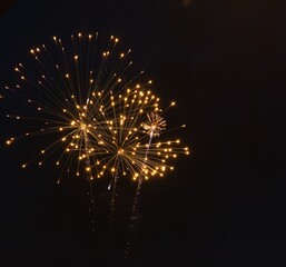 Obraz premium Fireworks burst in dazzling patterns.