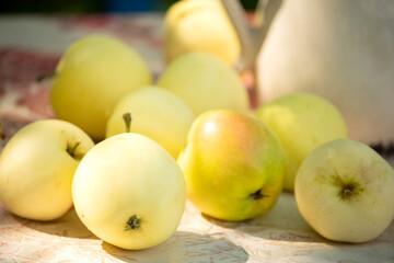 ripe juicy apples without adding fertilizers on a table in sunlight in the garden. white filling variety.