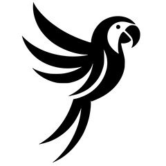 Silhouette of a macaw bird