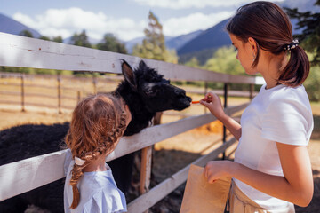 A happy children at the zoo. A lovely girls are feeding alpacas in the reserve. A cute teenage girl and her little sister give a lama a carrot. © Dasha Petrenko