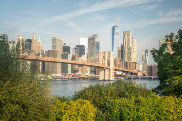 Pont, ville et gratte ciel en Amérique, skyline de new york vue de Brooklyn au milieu de la végetation