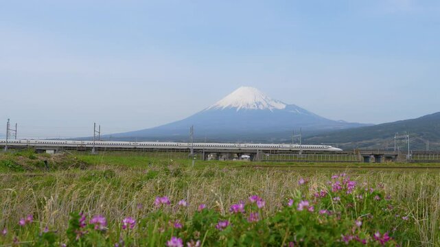 4k video,High-speed trains pass through the fields with Mount Fuji in the background.