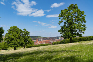 Fototapeta premium Stadt Würzburg