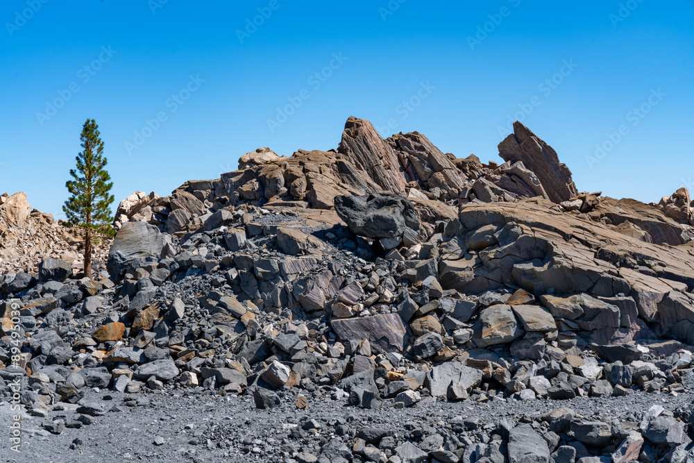 Sticker Tree and Obsidian Dome, CA