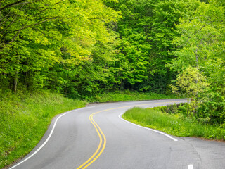 Newfound Gap Raod in the Great Smoky Mountains National Park in Tennessee USA