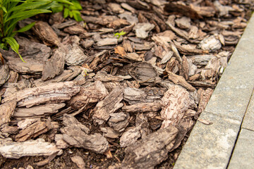 Mulching the soil with bark. Mulch of flowerbed with pine bark. Pine bark closeup