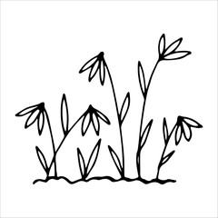 hand drawn wildflowers flower bed, monochrome, black and white