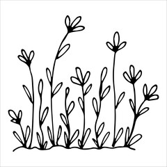 hand drawn wildflowers flower bed, monochrome, black and white