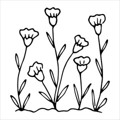hand drawn wildflowers flower bed, monochrome, black and white