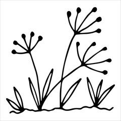 hand drawn wildflowers flower bed, monochrome, black and white