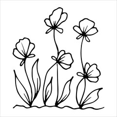 hand drawn wildflowers flower bed, monochrome, black and white