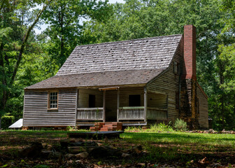 Obraz premium John Fitz Jarrell House (1847) at Jarrell Plantation